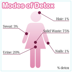 modes of detox