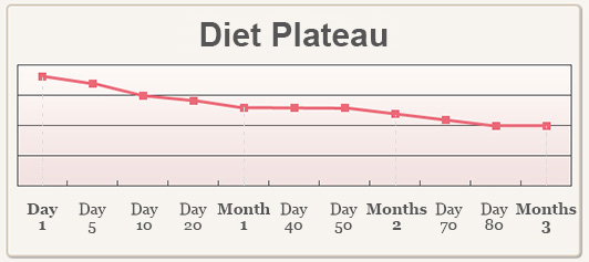 Diet Plateau