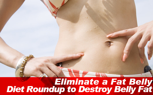 Eliminate a Fat Belly Diet Roundup to Destroy Belly Fat