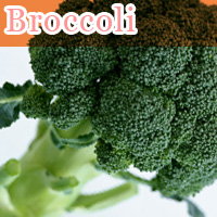 Broccoli