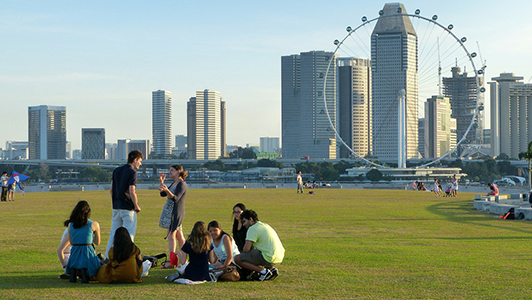 Friends on a picnic, panorama wheel in the background
