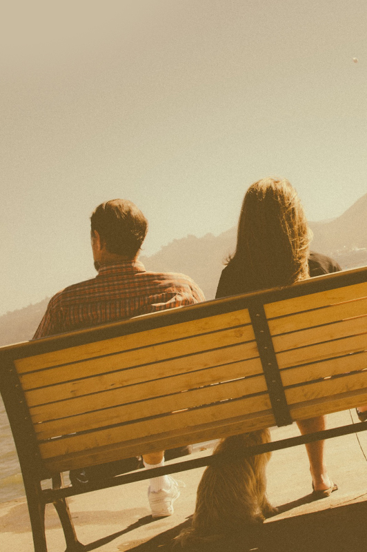 A couple with a dog sitting on a yellow bench