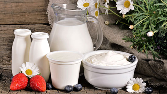 assortment of dairy products
