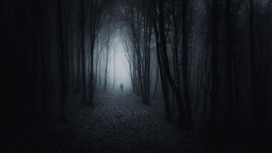 spooky forest with man walking