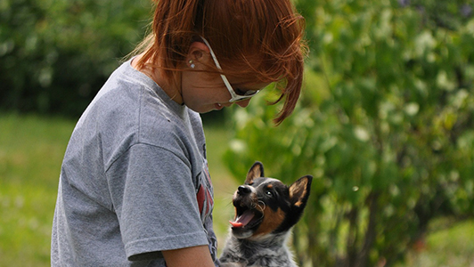 Girl in a grey t-shirt looking at a puppy.