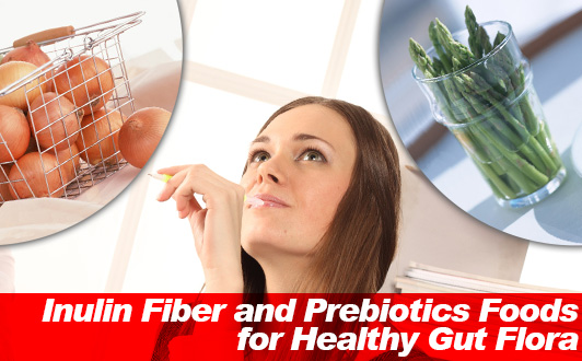 Inulin Fiber and Prebiotics Foods for Healthy Gut Flora