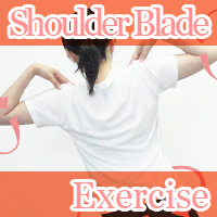 shoulder blade exercise