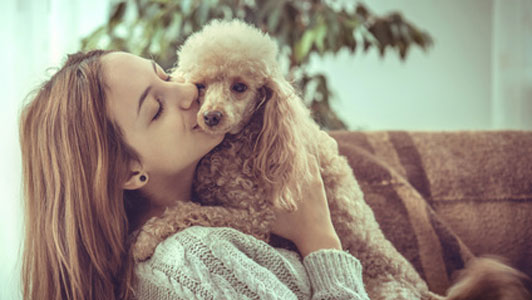 woman with cute dog in arms on couch