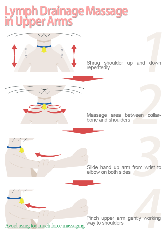 Lymph Drainage Massage 
in Upper Arms