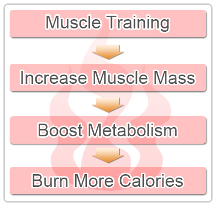 Incrase muscle mass to Boost Metabolism