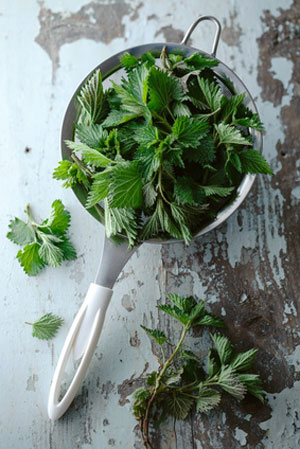 scoop of stnging nettle on wooding surface