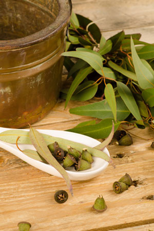 spoon of eucalyptus next to leaves and container