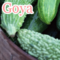 goya