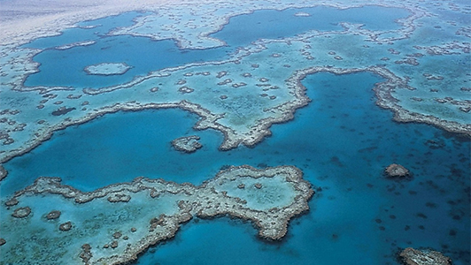 Sea and coral reefs