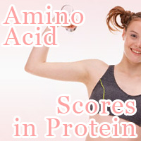 Amino Acid Scores in Protein