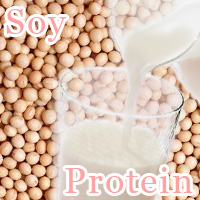 soy protein