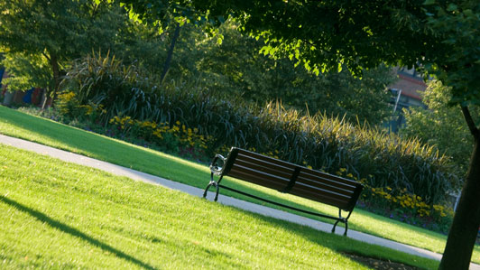 empty bench