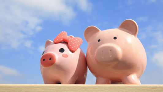 piggy bank couple