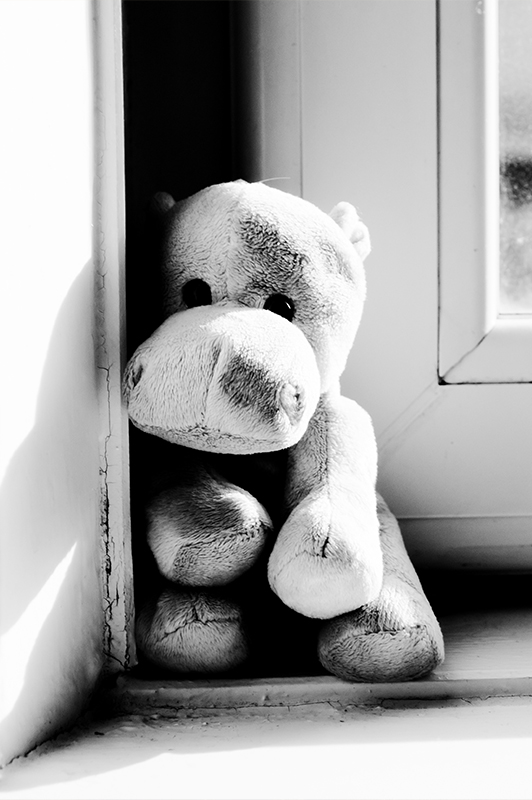 Stuffed toy standing near a window.