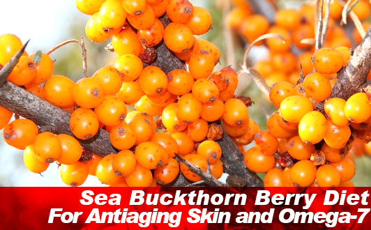 Sea Buckthorn Berry Diet For Antiaging Skin and Omega-7