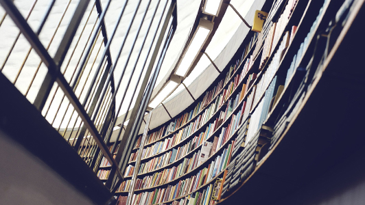 Huge wall covered in books.