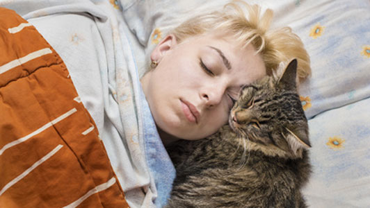 girl napping with cat