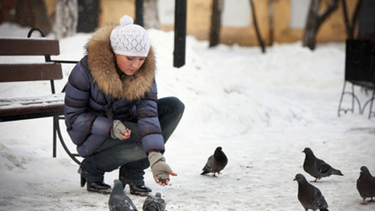 woman feeding pidgins