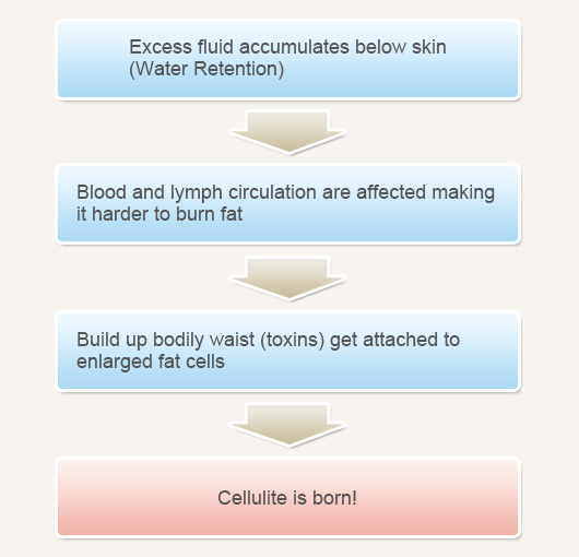 leg fluid retention