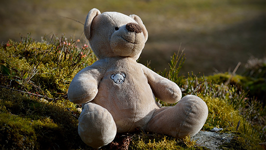 Teddy bear left in the grass