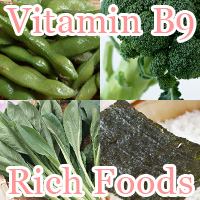 Vitamin b9 rich foods