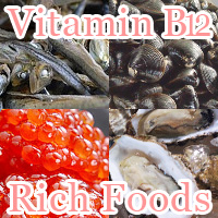 Vitamin B12 rich foods